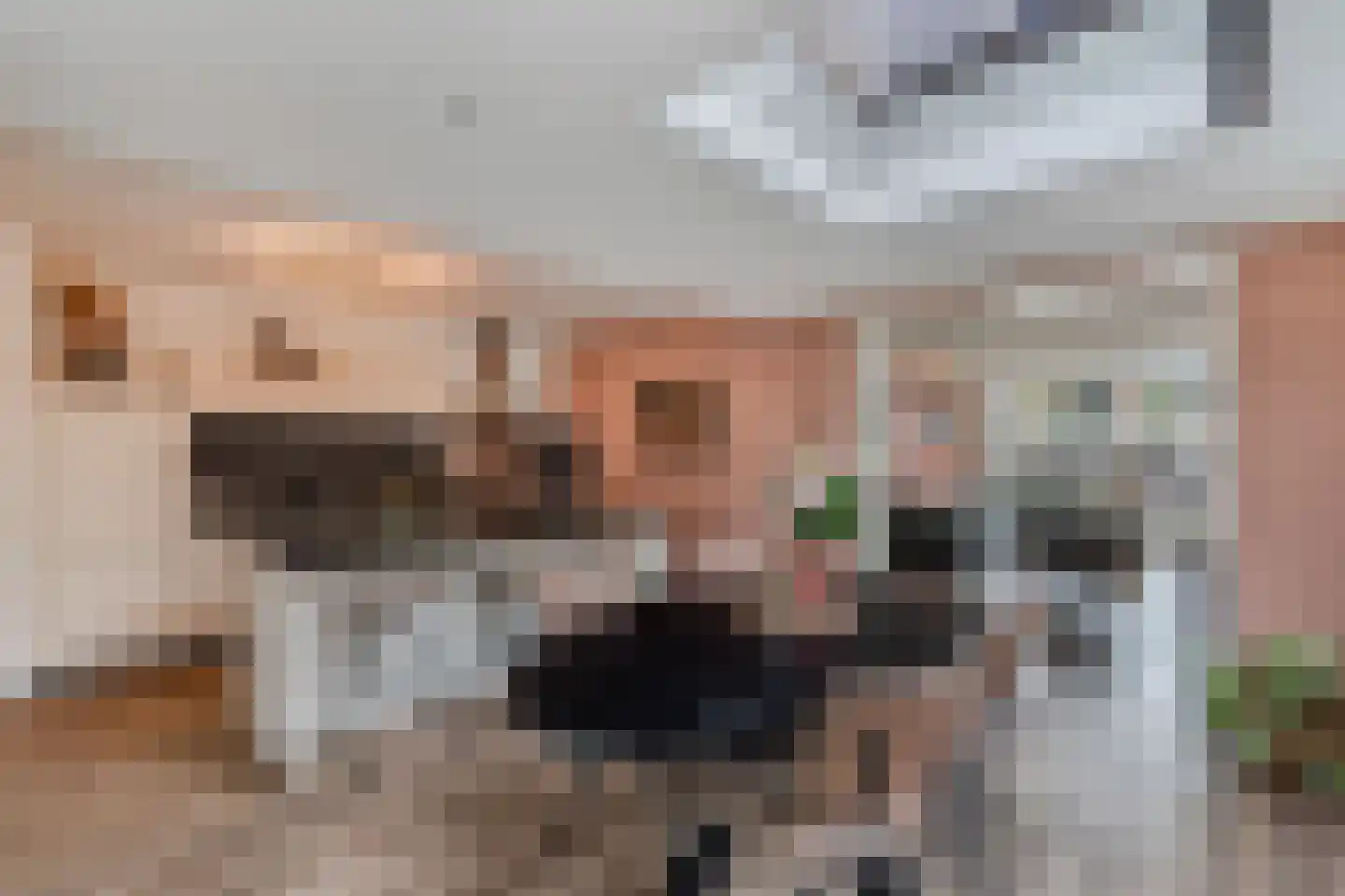 Frans Halsstraat 31 Nietap thumbnail 21