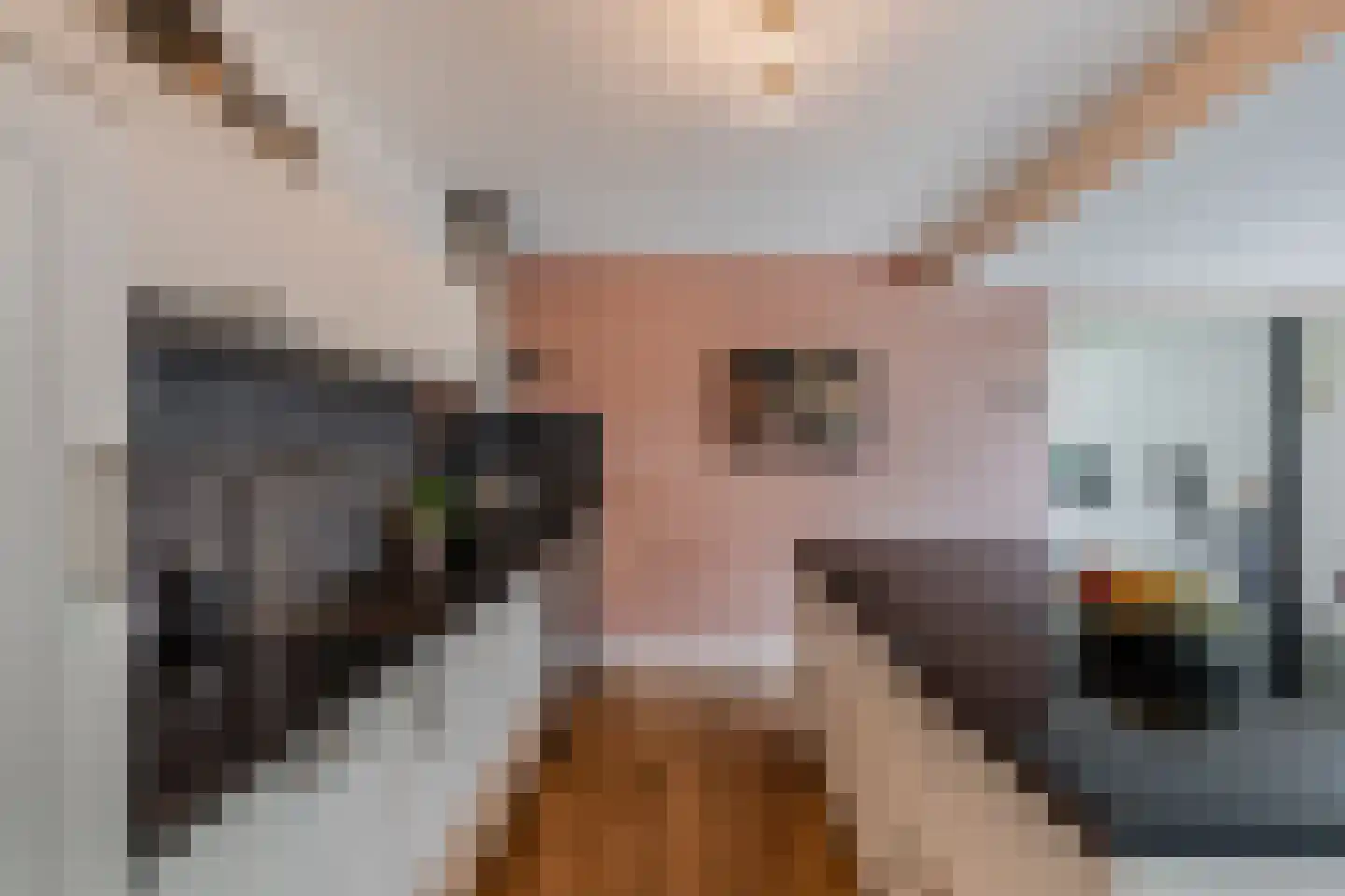 Frans Halsstraat 31 Nietap thumbnail 22