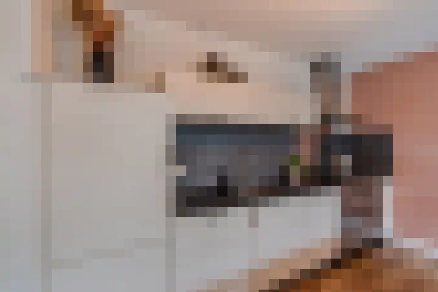 Frans Halsstraat 31 Nietap thumbnail 23