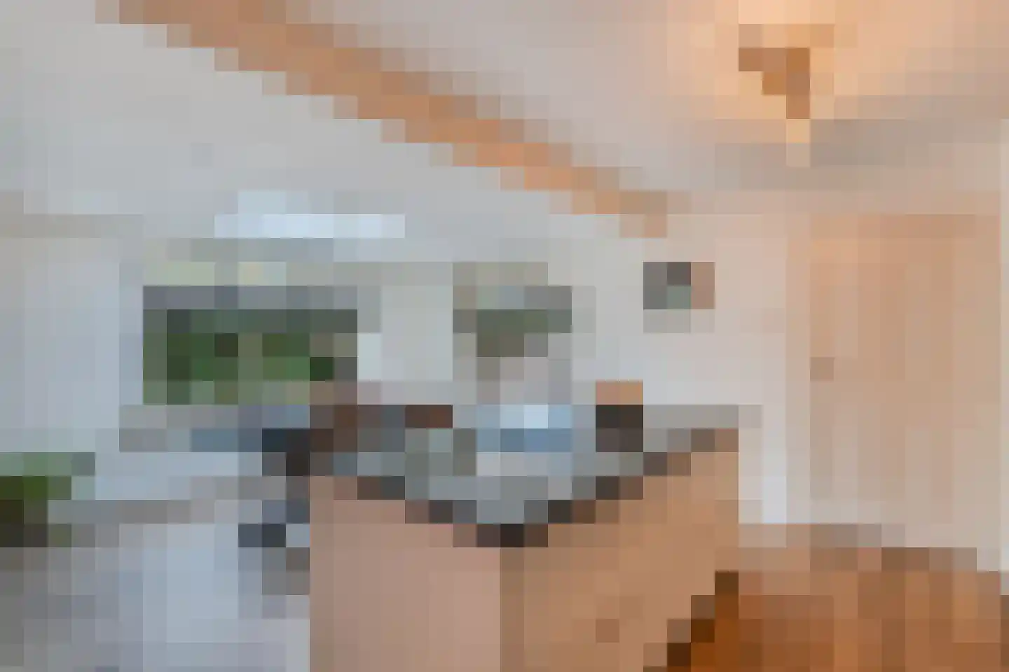 Frans Halsstraat 31 Nietap thumbnail 25
