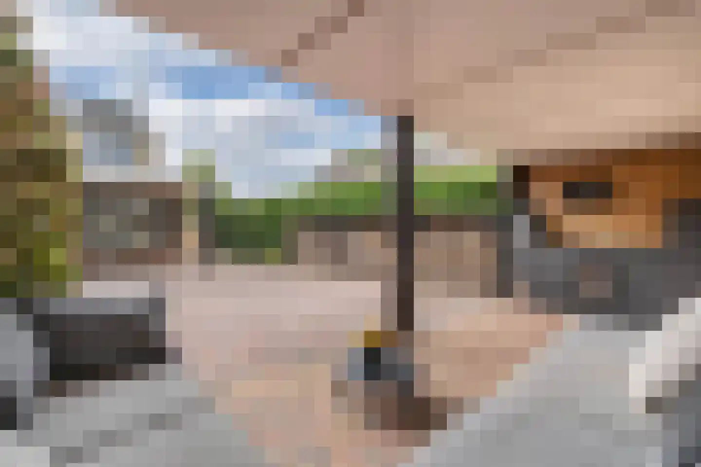 Frans Halsstraat 31 Nietap thumbnail 50