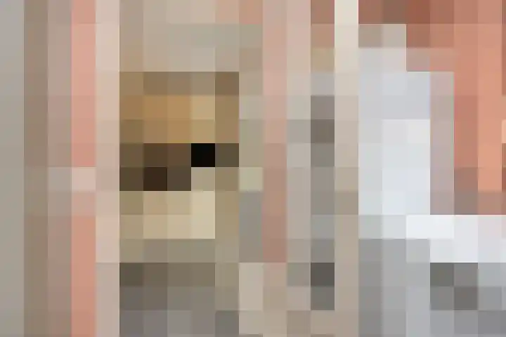 Frans Halsstraat 33 Stolwijk thumbnail 10