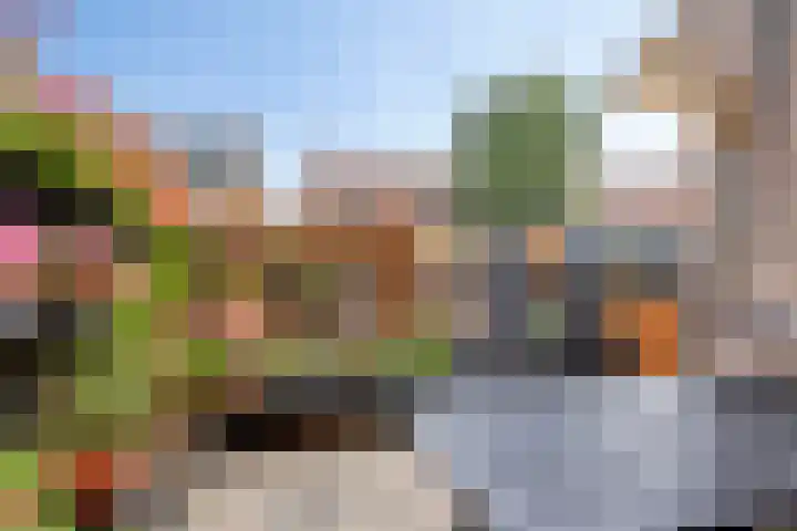 Frans Halsstraat 33 Stolwijk thumbnail 19