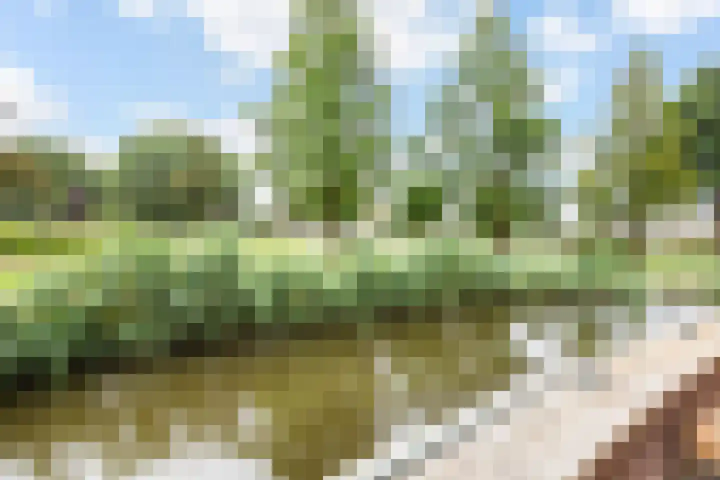 Frans Halsstraat 34 Volendam thumbnail 36