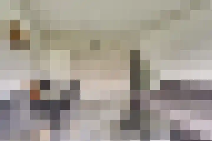 Frans Halsstraat 35 Spijkenisse thumbnail 4