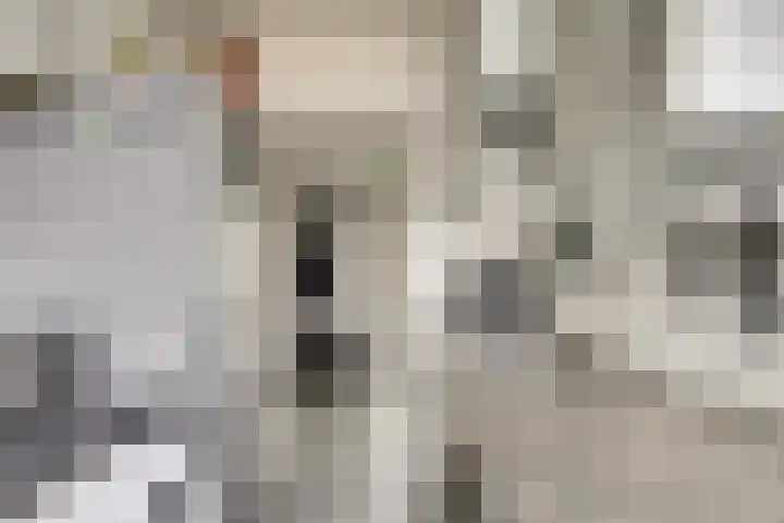 Frans Halsstraat 35 Spijkenisse thumbnail 7