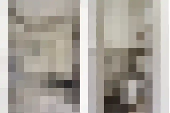 Frans Halsstraat 35 Spijkenisse thumbnail 8