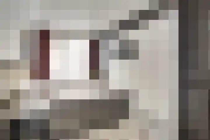 Frans Halsstraat 35 Spijkenisse thumbnail 9