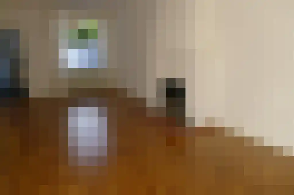 Frans Halsstraat 37 Eindhoven thumbnail 4