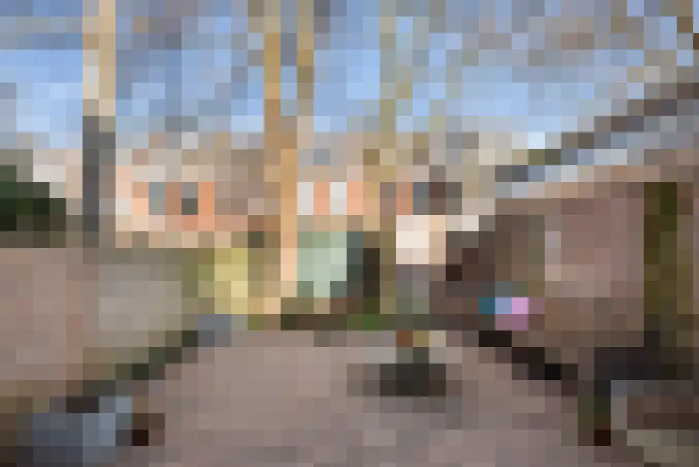 Frans Halsstraat 37 Haarlem thumbnail 21