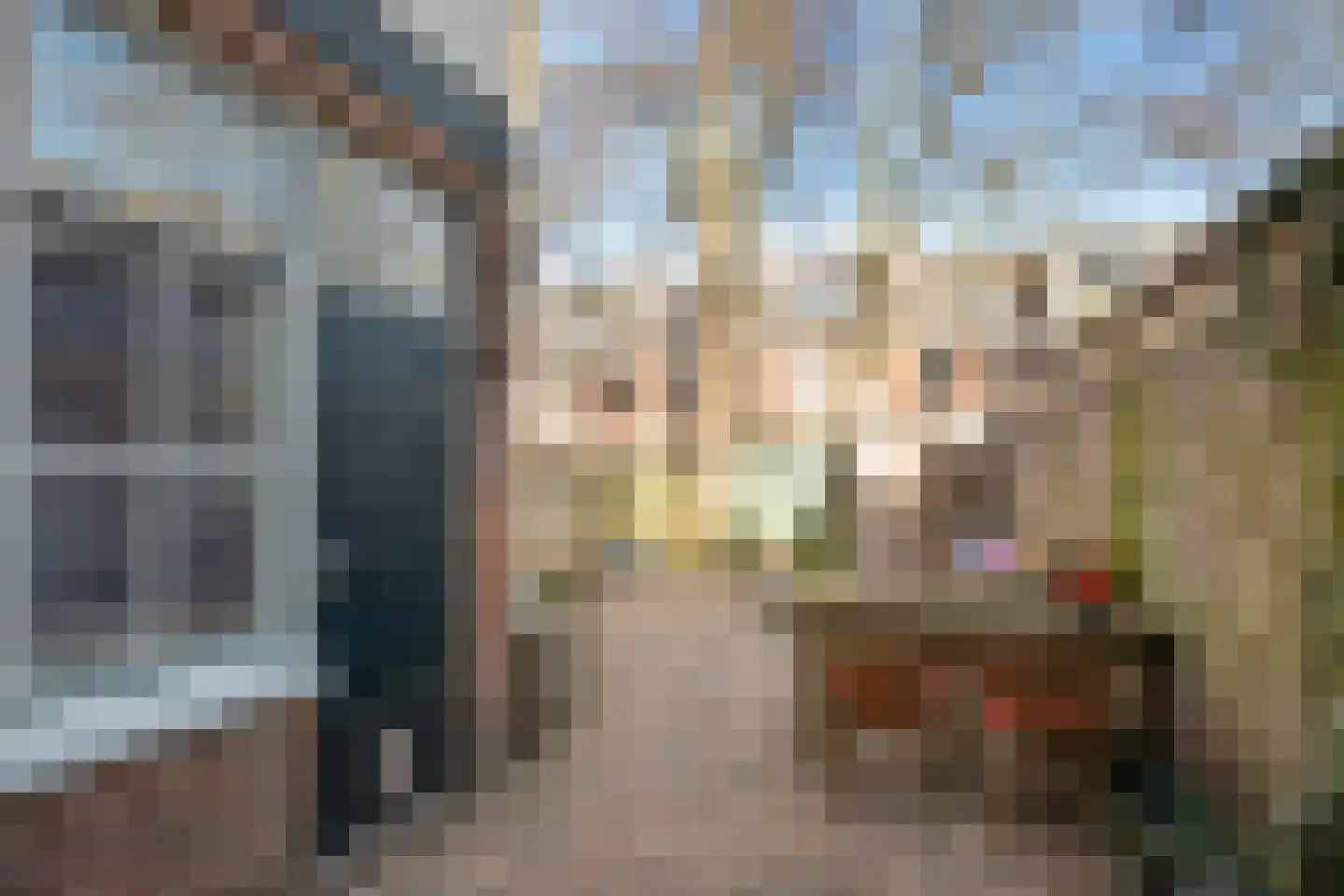Frans Halsstraat 37 Haarlem thumbnail 25