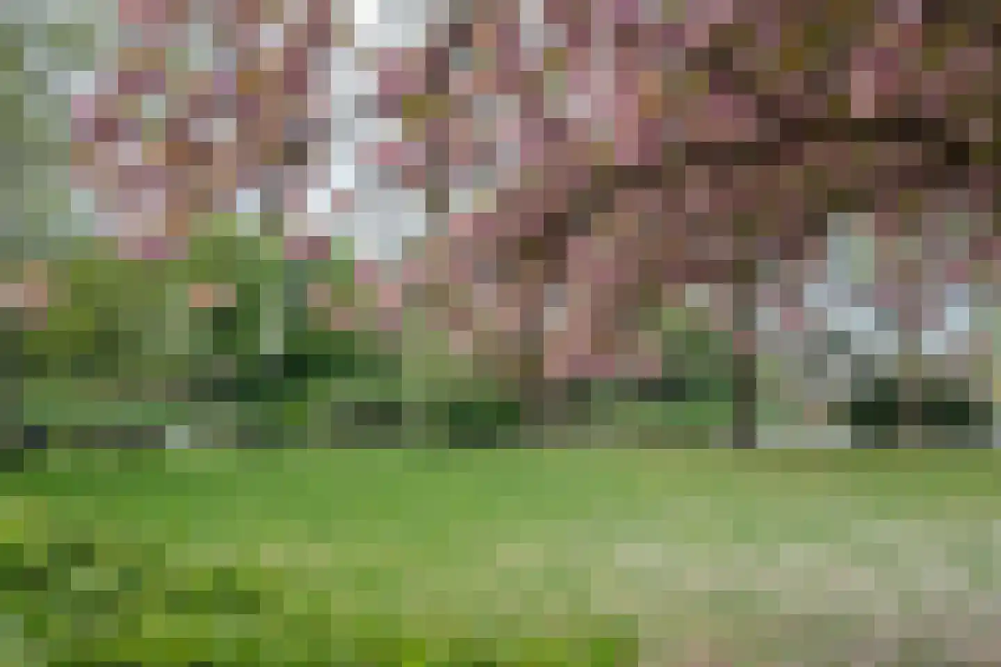 Frans Halsstraat 37 Haarlem thumbnail 32