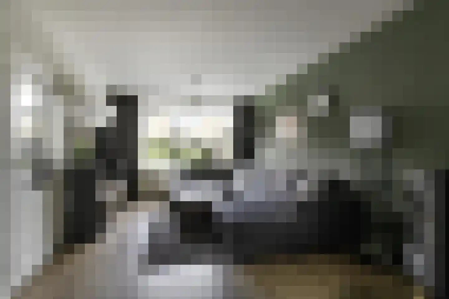 Frans Halsstraat 37 Papendrecht thumbnail 12