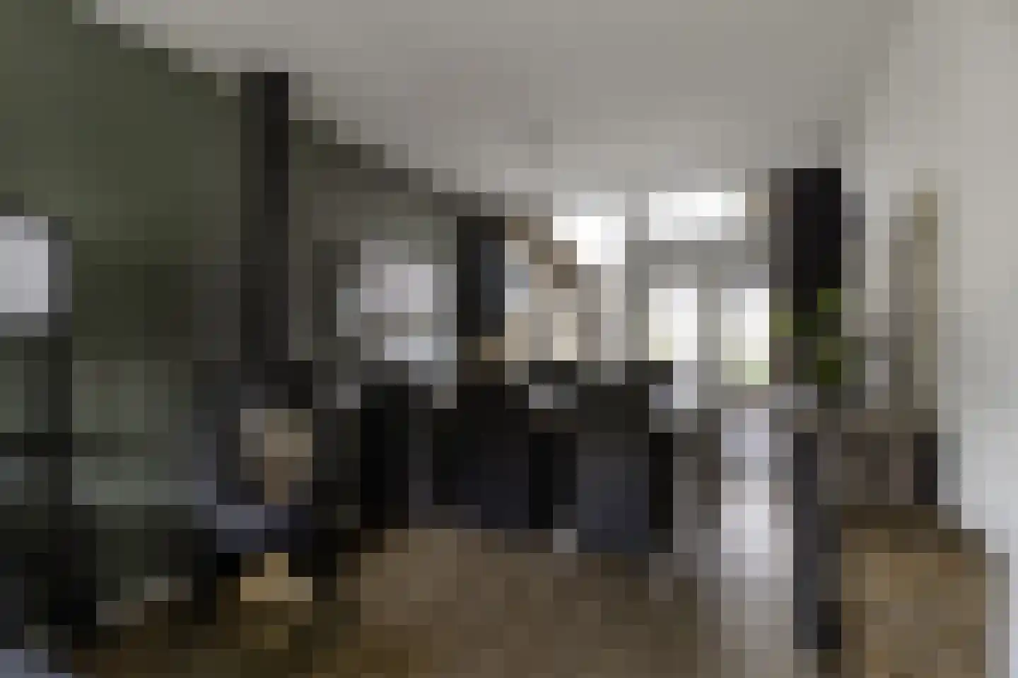 Frans Halsstraat 37 Papendrecht thumbnail 16