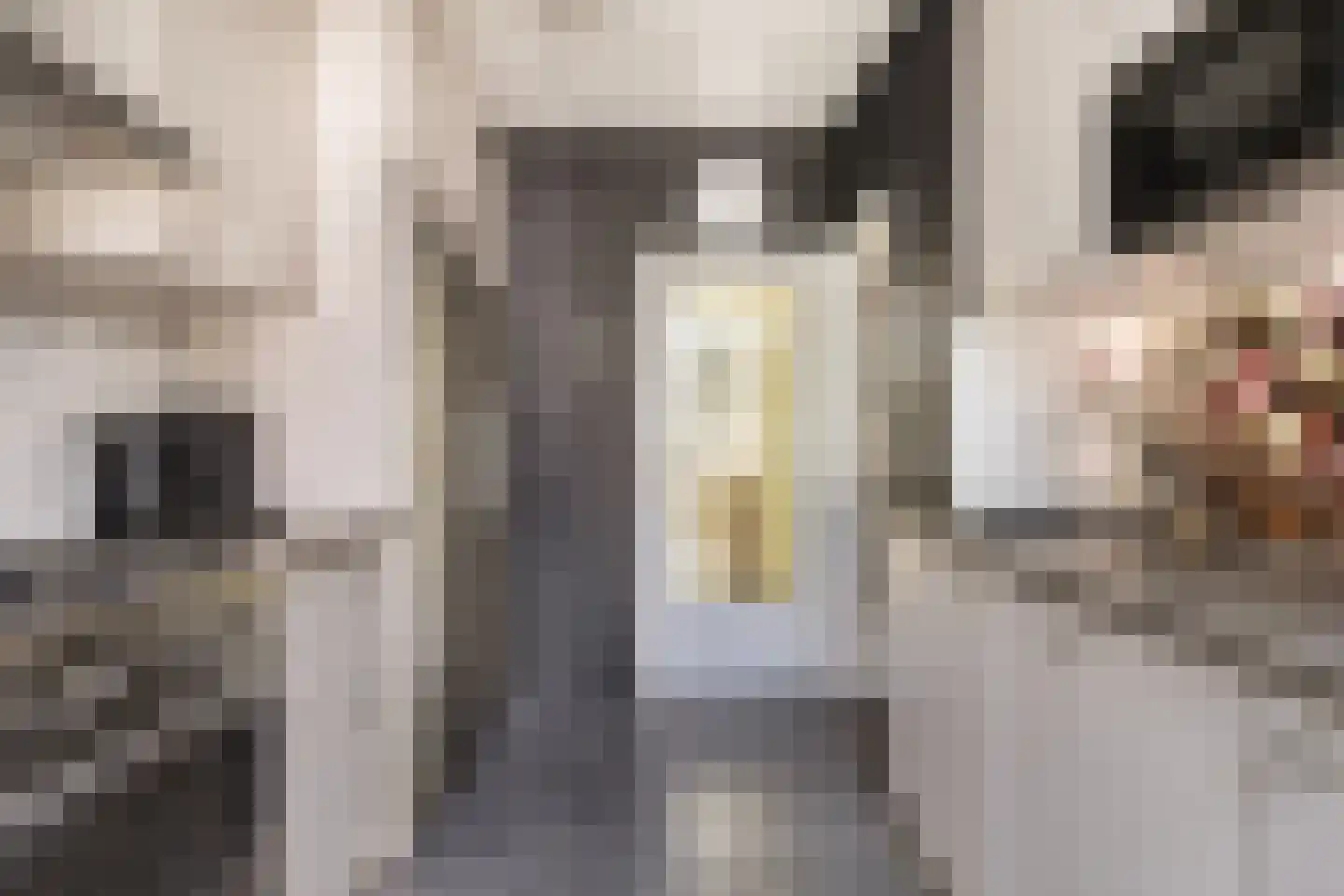 Frans Halsstraat 37 Papendrecht thumbnail 21