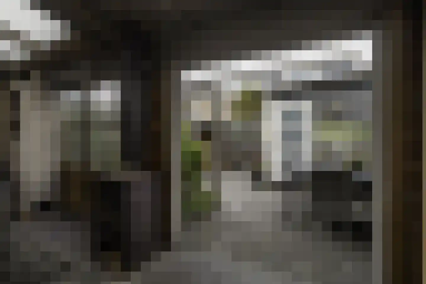 Frans Halsstraat 37 Papendrecht thumbnail 29