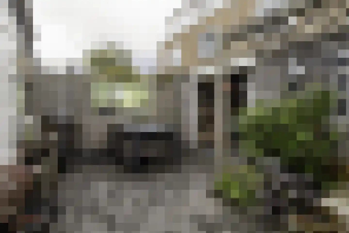 Frans Halsstraat 37 Papendrecht thumbnail 32