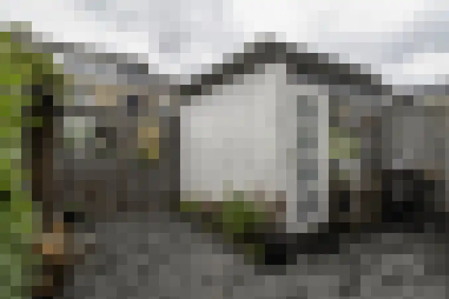 Frans Halsstraat 37 Papendrecht thumbnail 33