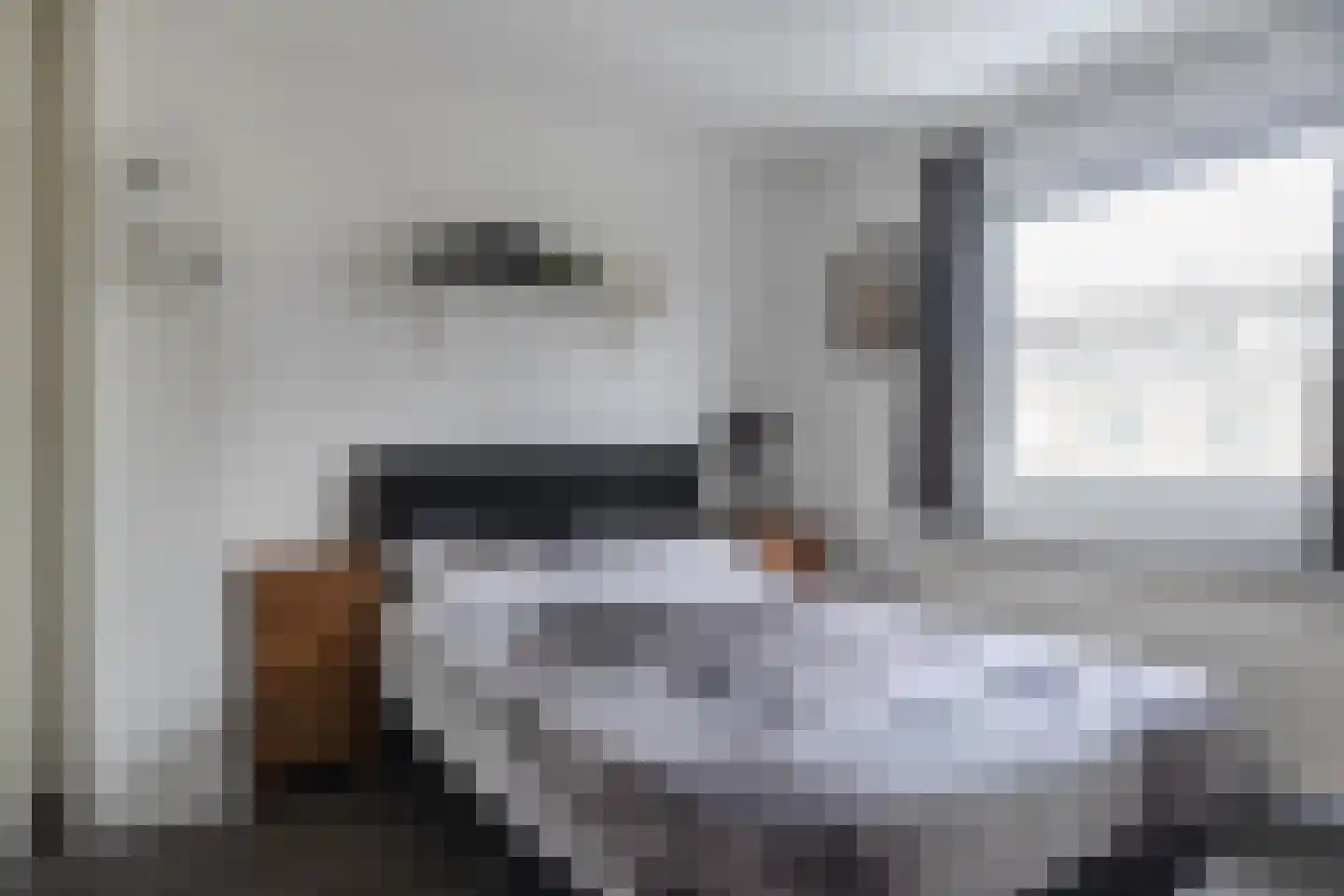 Frans Halsstraat 37 Papendrecht thumbnail 44