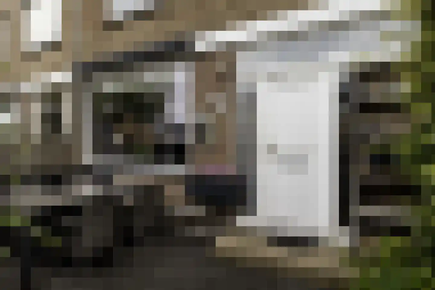 Frans Halsstraat 37 Papendrecht thumbnail 5