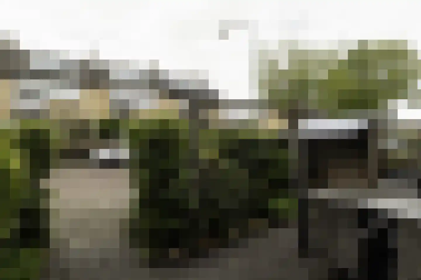 Frans Halsstraat 37 Papendrecht thumbnail 7