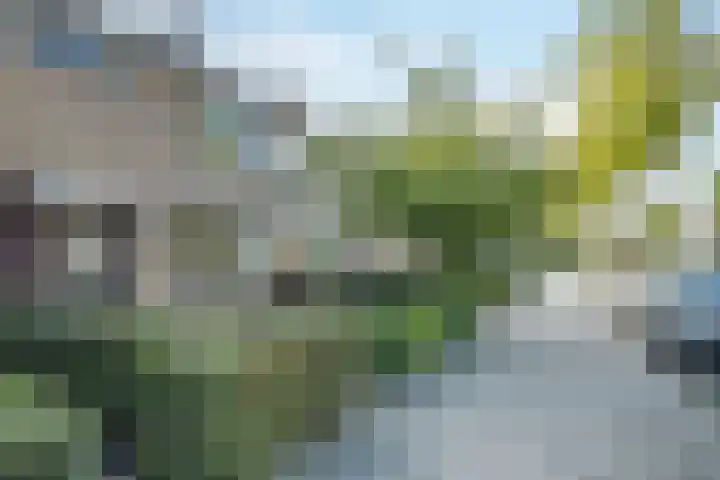 Frans Halsstraat 38 Schagen thumbnail 4