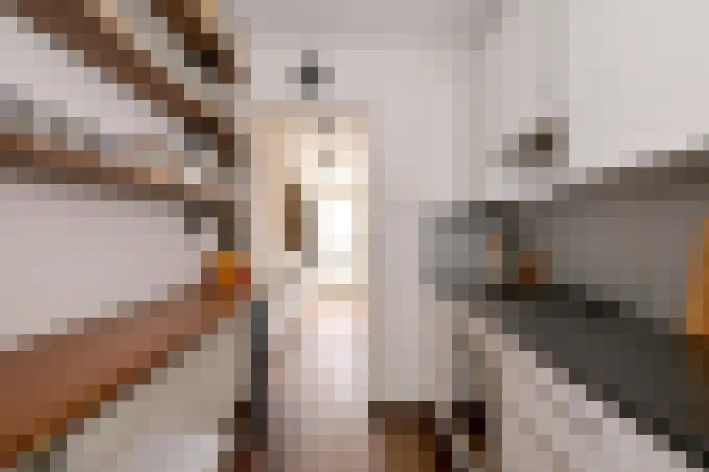 Frans Halsstraat 39 Deventer thumbnail 13