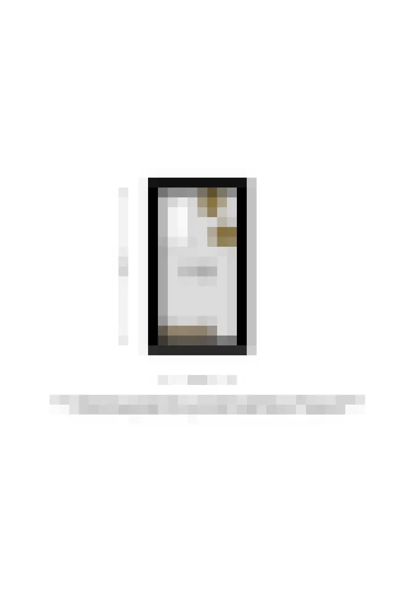 Frans Halsstraat 39 Deventer thumbnail 38