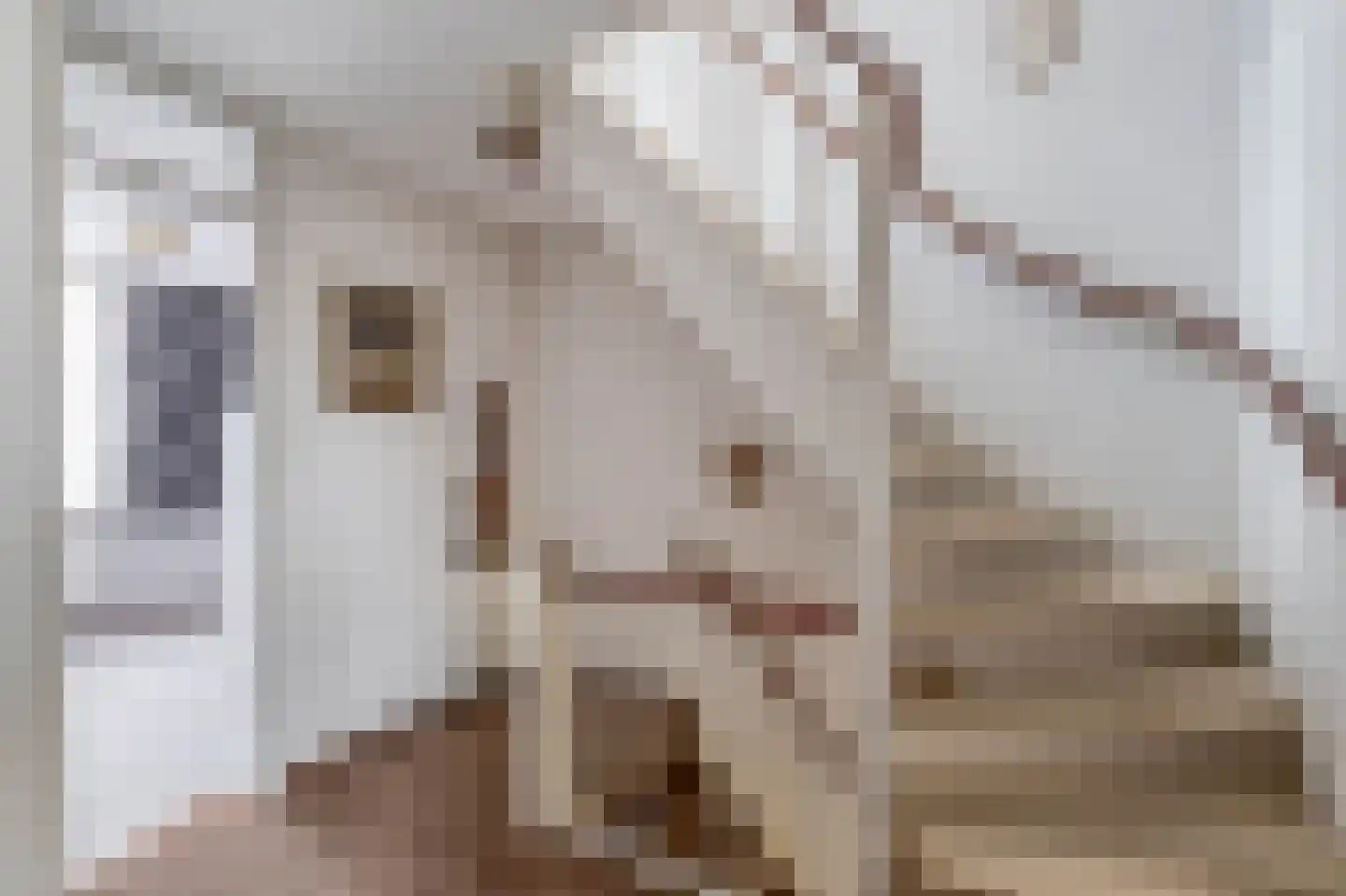 Frans Halsstraat 39 Lisse thumbnail 23