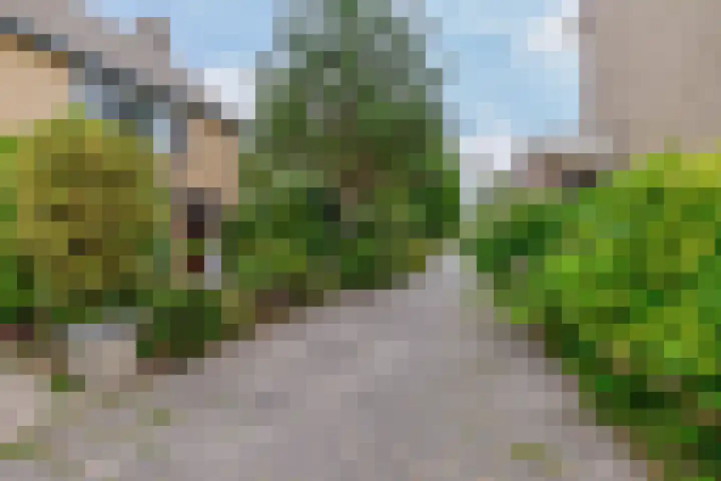 Frans Halsstraat 39 Lisse thumbnail 36