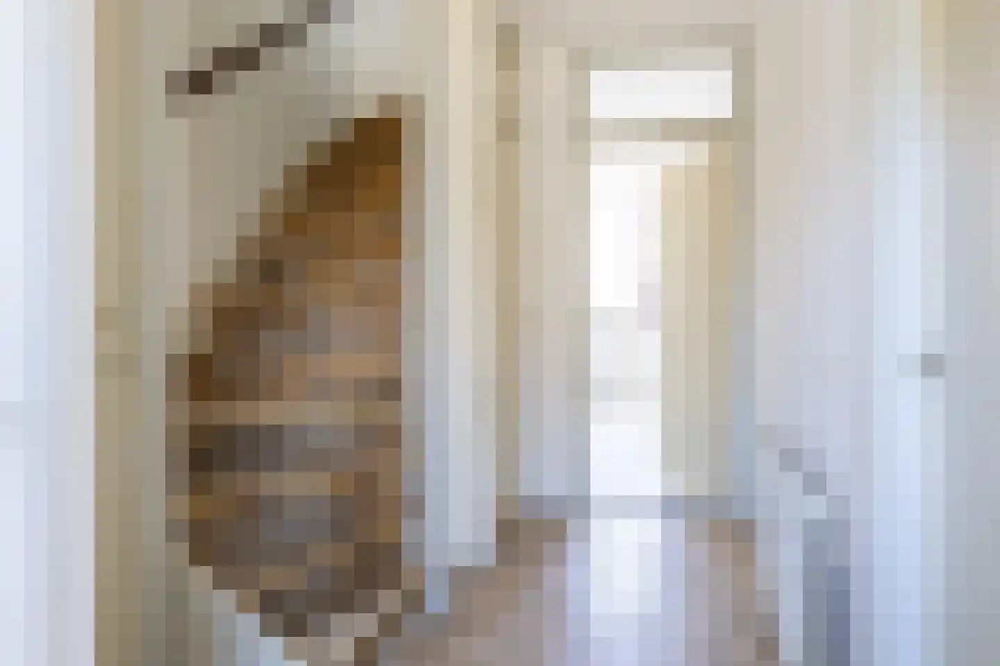 Frans Halsstraat 4 Bergen L thumbnail 6