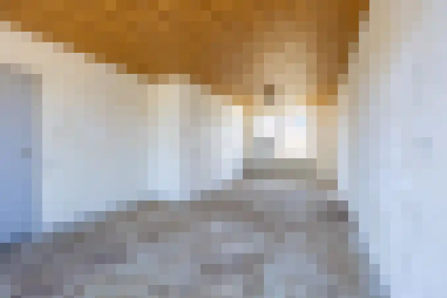 Frans Halsstraat 4 Bergen L thumbnail 8