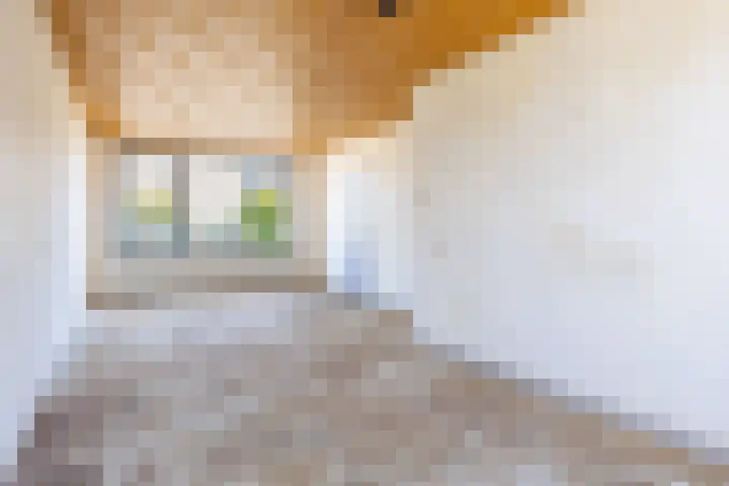 Frans Halsstraat 4 Bergen L thumbnail 9