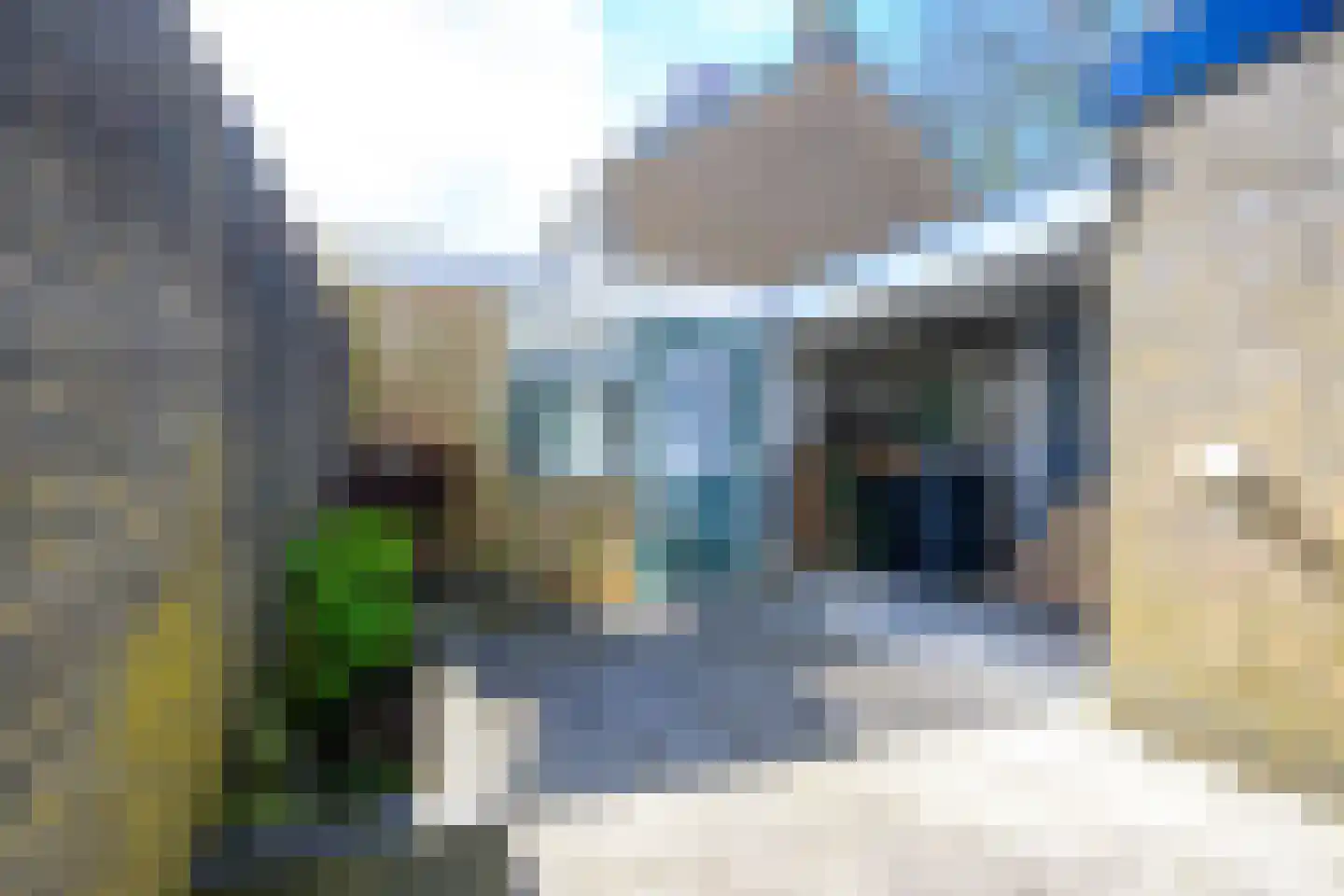 Frans Halsstraat 4 Heerhugowaard thumbnail 13