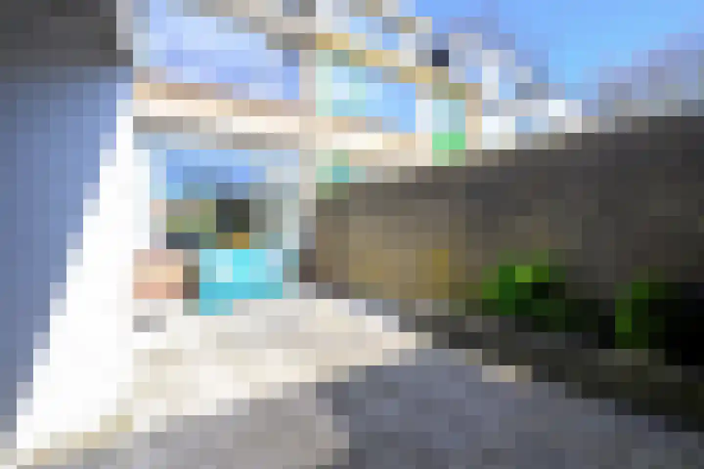 Frans Halsstraat 4 Heerhugowaard thumbnail 14
