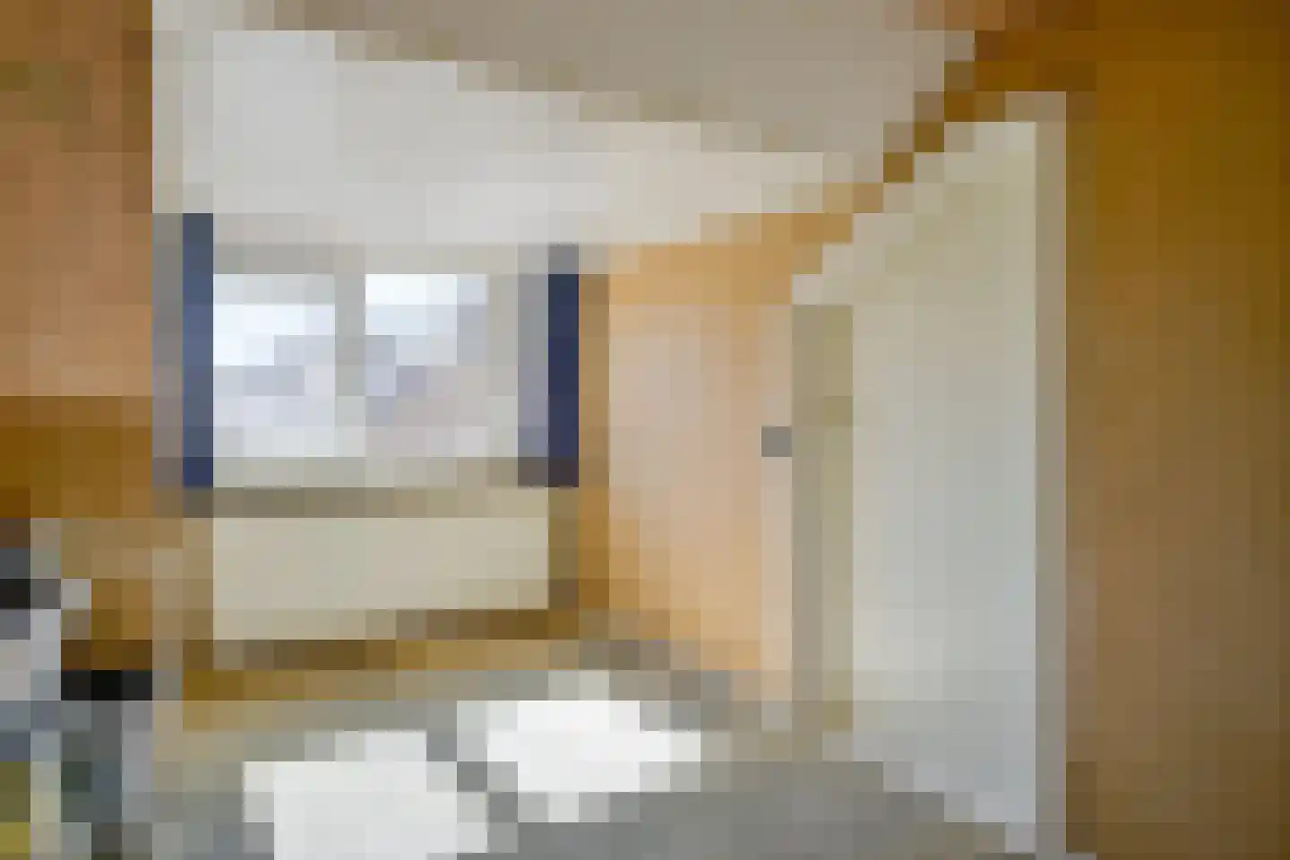 Frans Halsstraat 4 Heerhugowaard thumbnail 27