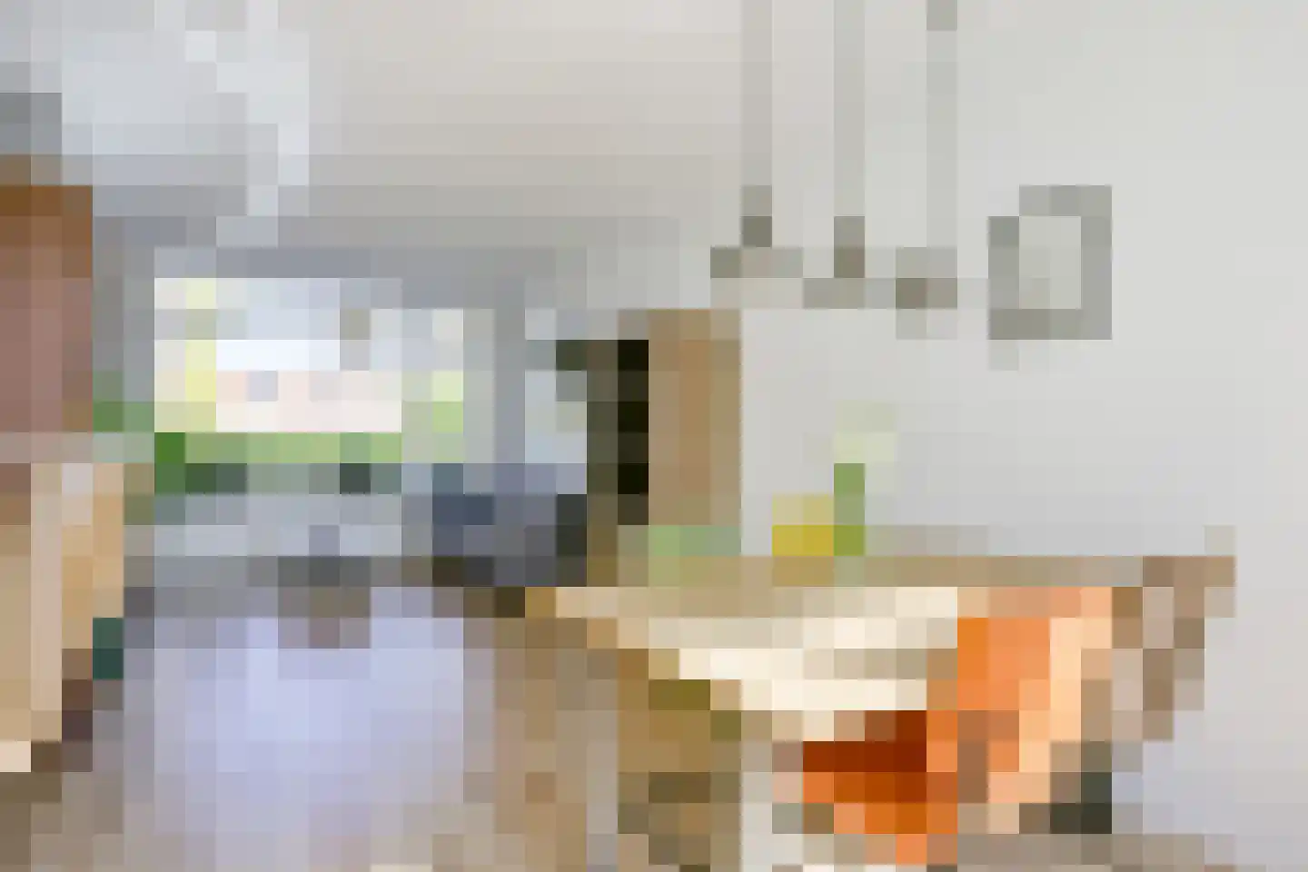 Frans Halsstraat 4 Heerhugowaard thumbnail 8