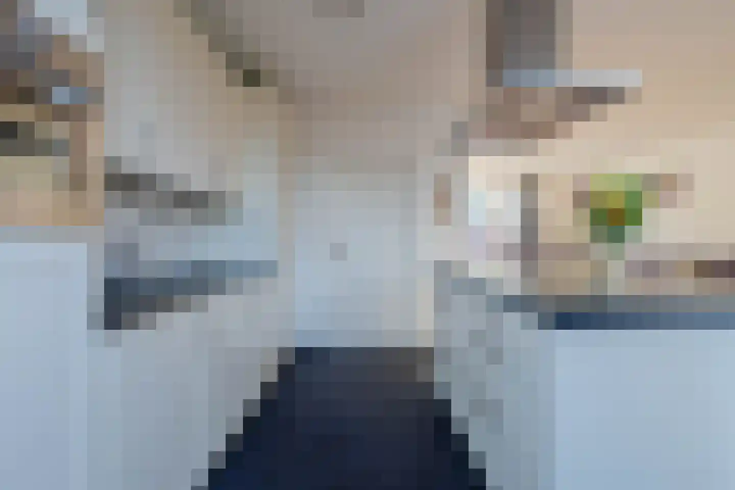 Frans Halsstraat 4 Horst thumbnail 15