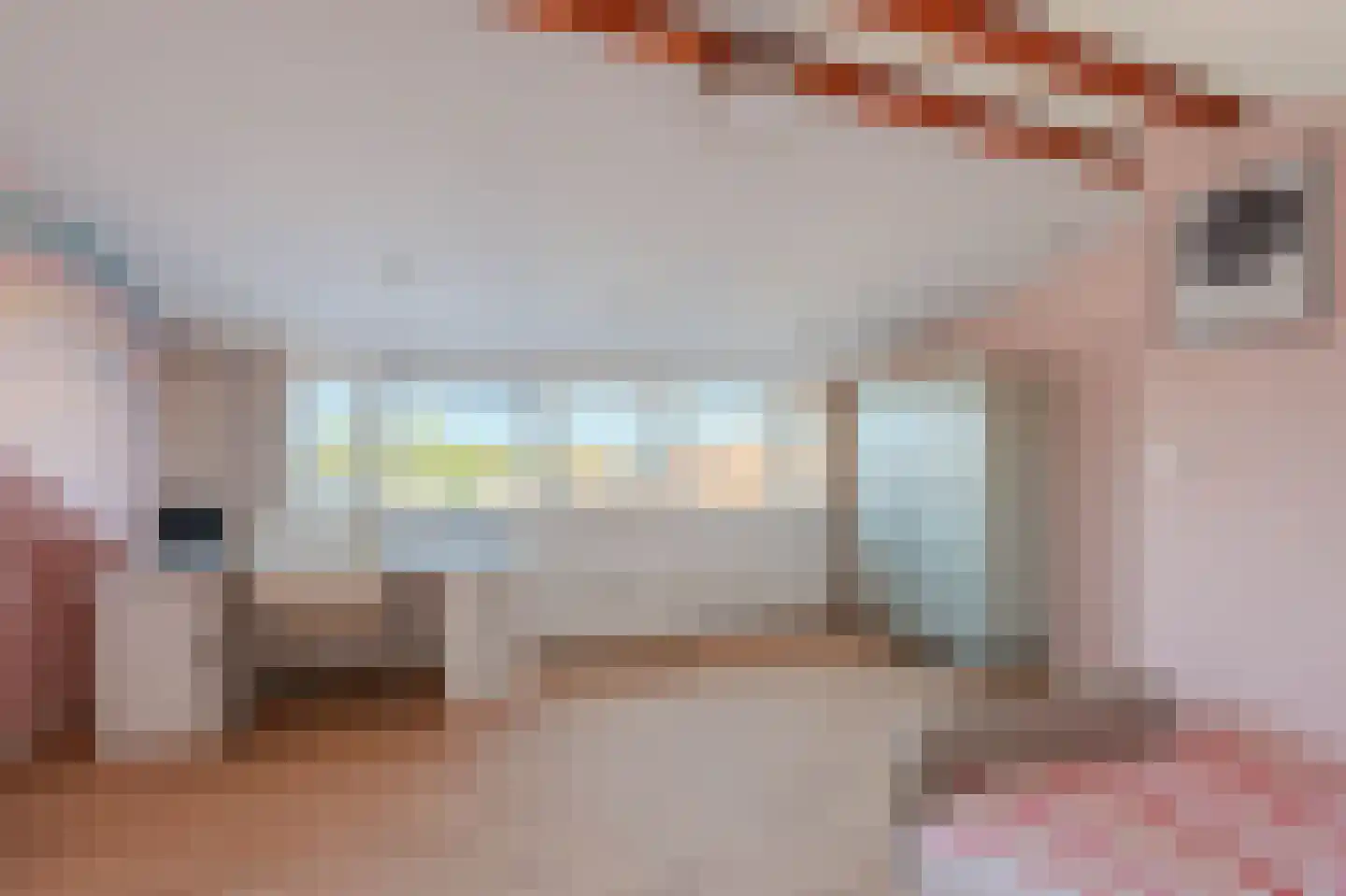 Frans Halsstraat 4 Horst thumbnail 26