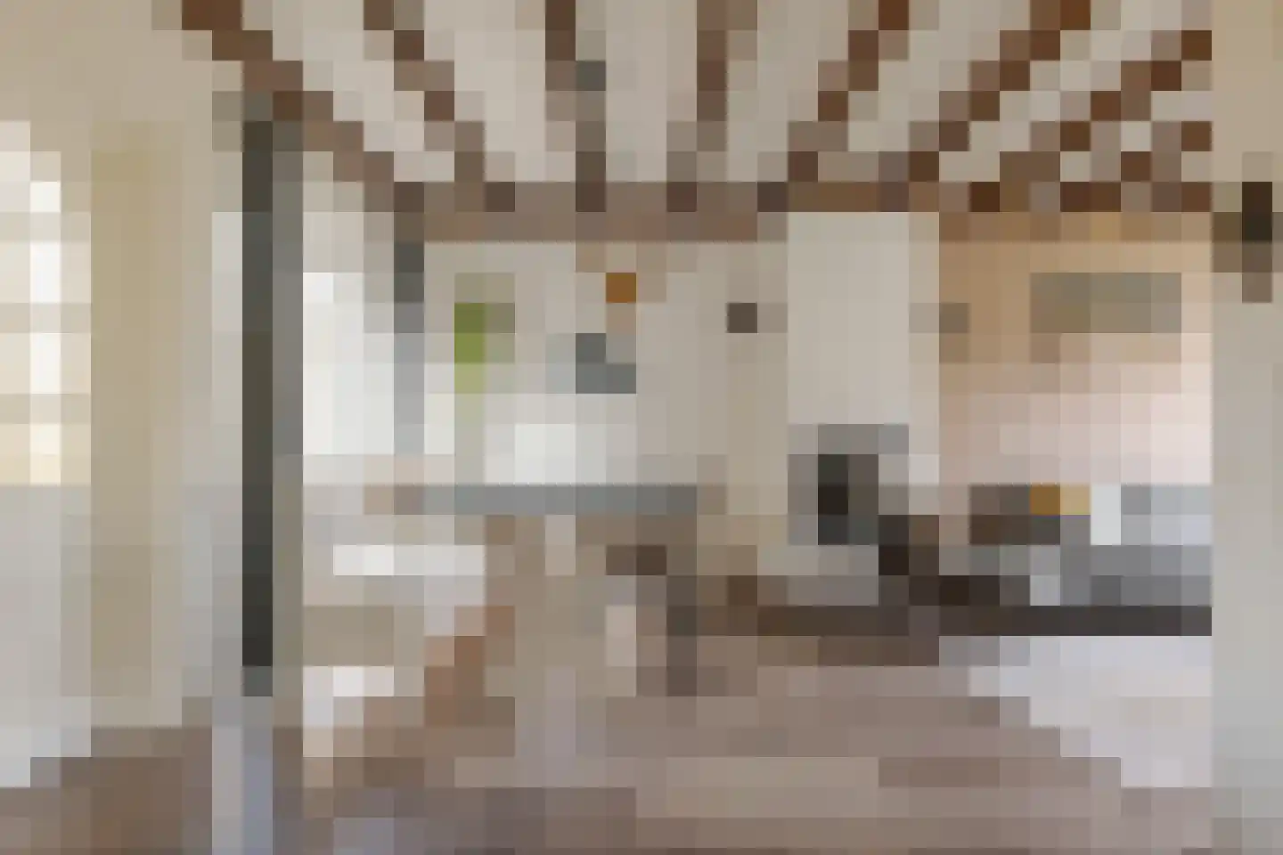 Frans Halsstraat 4 Nietap thumbnail 10