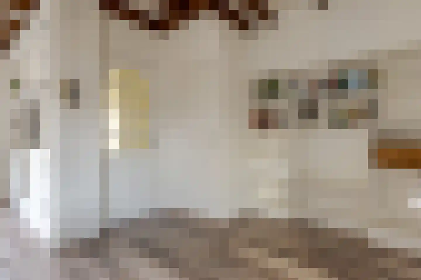 Frans Halsstraat 4 Nietap thumbnail 16