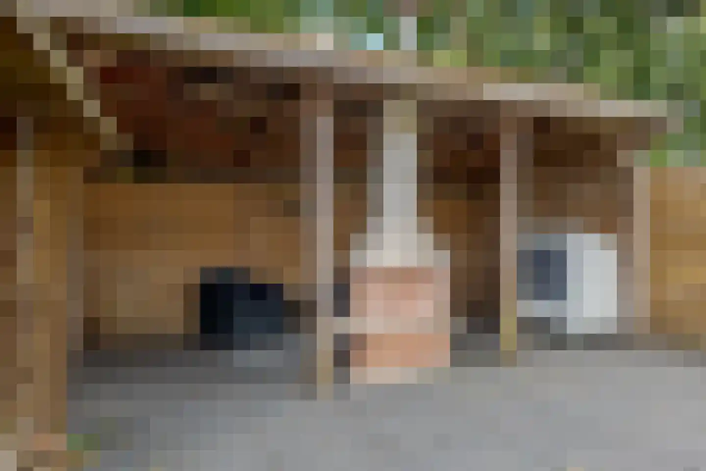 Frans Halsstraat 4 Nietap thumbnail 32