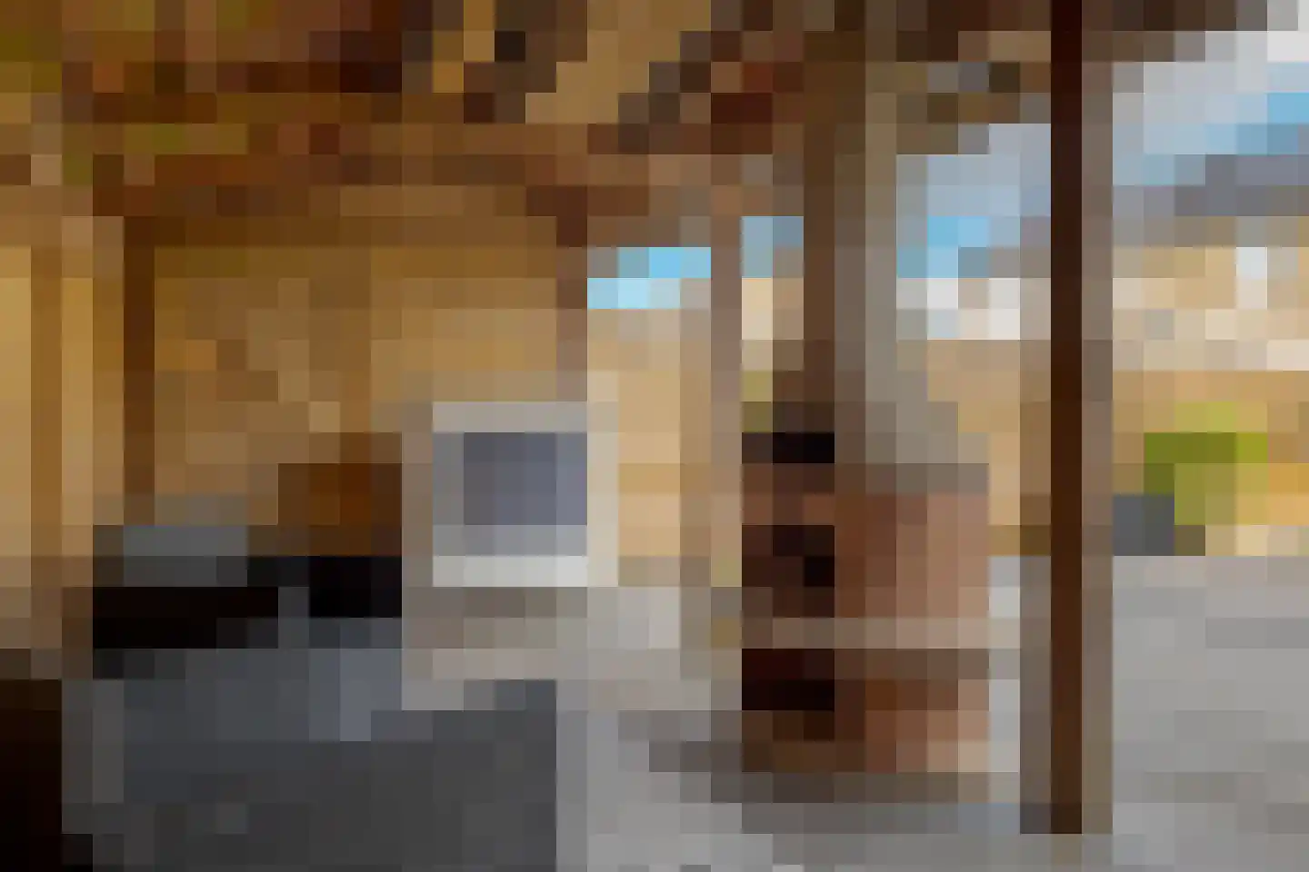 Frans Halsstraat 4 Nietap thumbnail 33