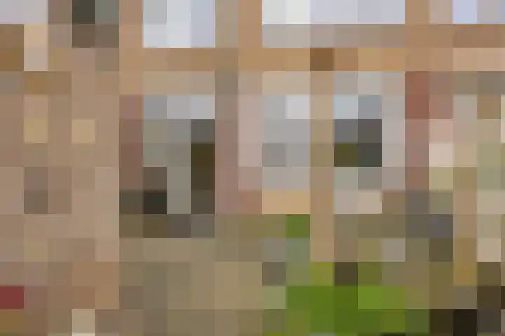 Frans Halsstraat 42 Heerhugowaard thumbnail 34