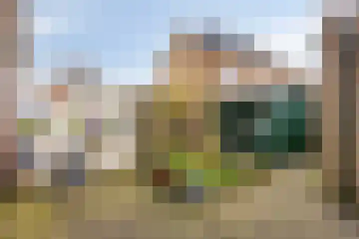 Frans Halsstraat 42 Heerhugowaard thumbnail 6