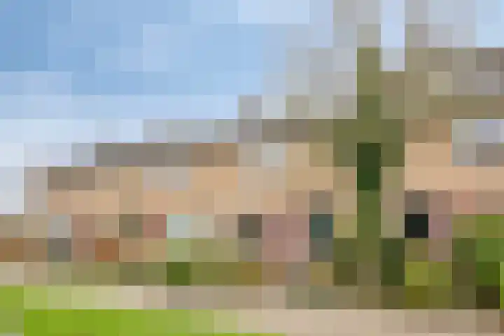 Frans Halsstraat 42 Heerhugowaard thumbnail 7