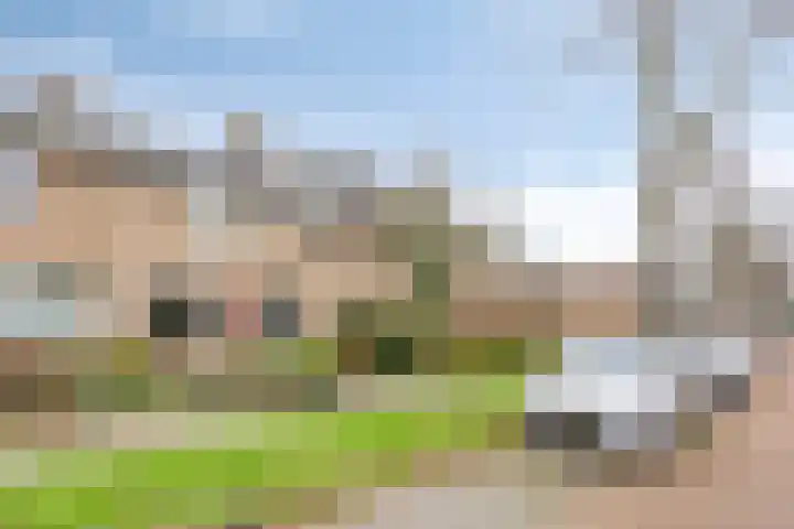 Frans Halsstraat 42 Heerhugowaard thumbnail 8