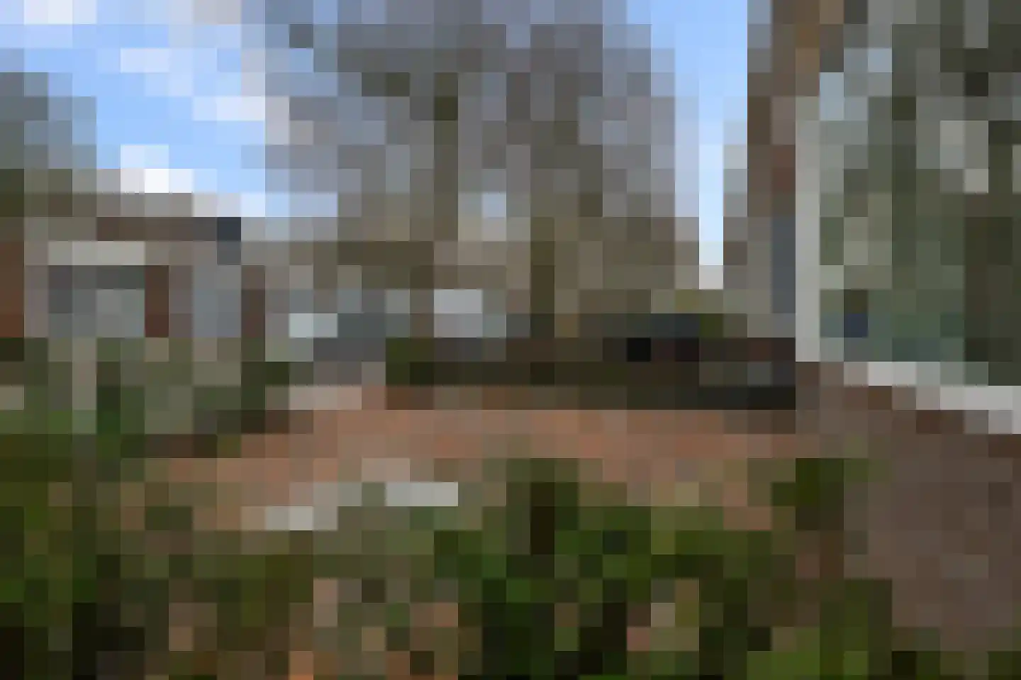 Frans Halsstraat 42 Zaandam thumbnail 24