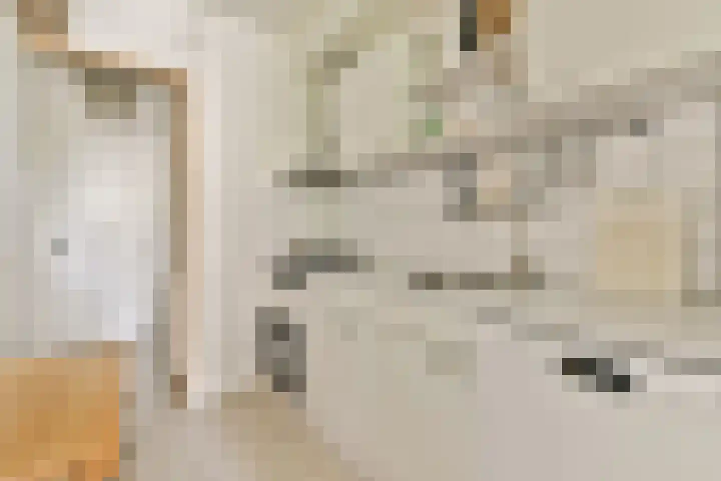 Frans Halsstraat 44 1 Amsterdam thumbnail 13