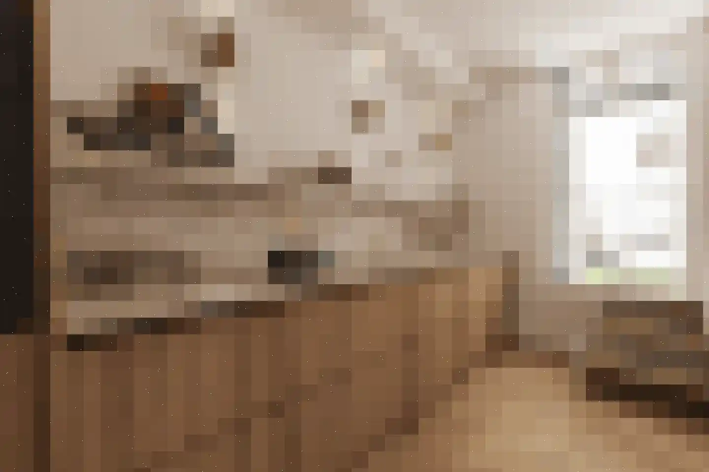 Frans Halsstraat 44 1 Amsterdam thumbnail 14